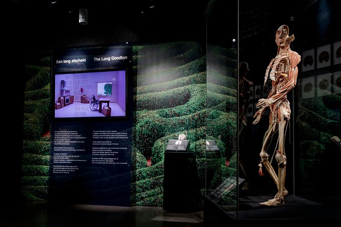 Body Worlds Amsterdam Admission Ticket - Is it good for kids? Here’s the honest answer