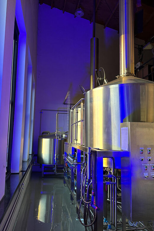 Breugem Brewery: Beer tasting - Your four-beer tasting flight: what’s included