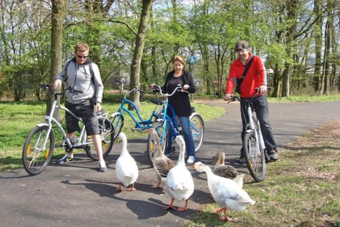 Cheese, Canals & Windmill Countryside E-Bike Tour Amsterdam - E-Bike Reality Check: You Still Need Balance