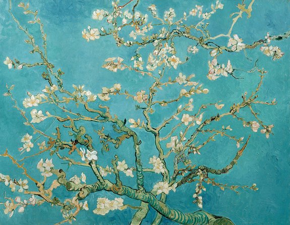 Combo Ticket: Van Gogh Museum Ticket and 1-Hour Canal Cruise - Inside the Van Gogh Museum: paintings, drawings, and letters that change how you see him