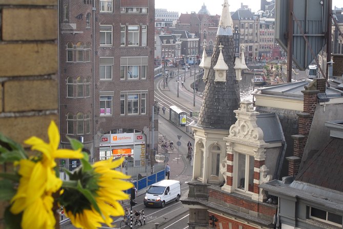Countryside of Amsterdam Private tour - Timing, what to pack, and how to keep the day smooth