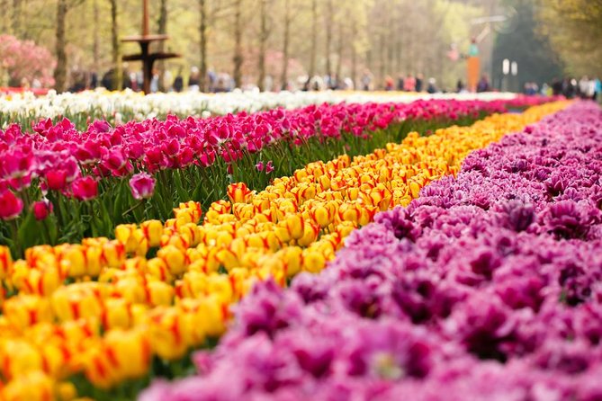 Day Trip to Keukenhof Gardens from Amsterdam with Tour Guide - Getting to Keukenhof: Coach Comfort, Timing, and Crowd Reality