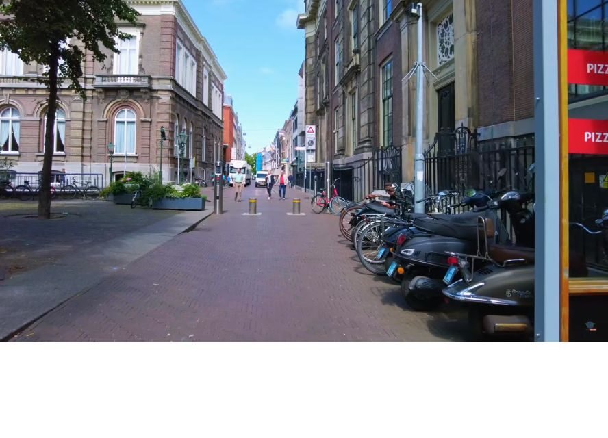Delft and The Hague: Private Half-Day Tour with Transfer - Best fit: who will enjoy this tour most