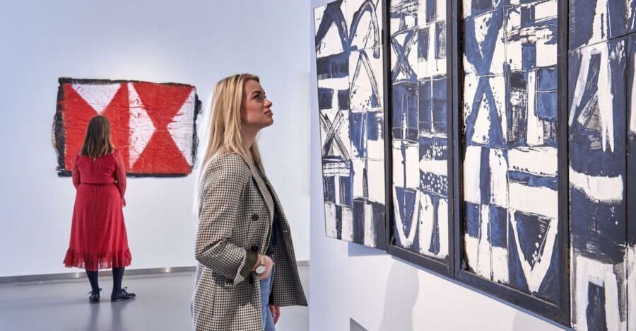 Den Bosch: Het Noordbrabants Museum Entry Ticket - Art highlights you should plan around: Sluijters, van Gogh, and the Bruegels