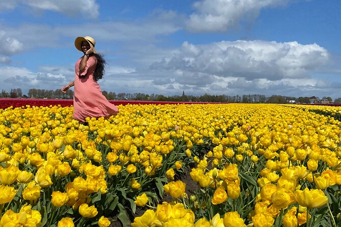 Discover Holland’s Beautiful Tulip Fields with an Expert Guide - The Beemster Polder stop that sets the tone for tulips