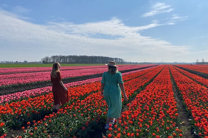 Discover Holland’s Beautiful Tulip Fields with an Expert Guide - From Amsterdam to the countryside: how the day stays easy