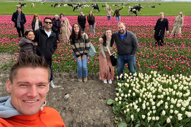 Discover Holland’s Beautiful Tulip Fields with an Expert Guide - Price and value: what you’re paying for