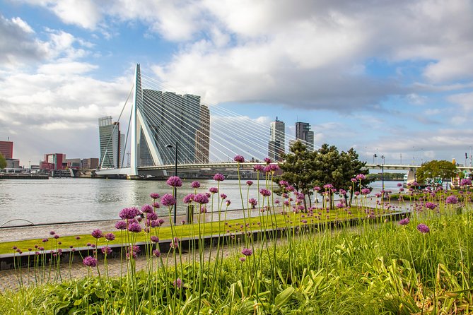 Discover Rotterdam’s most Photogenic Spots with a Local - Why this Rotterdam photo walk works so well