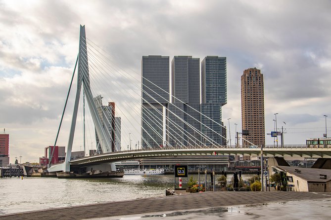 Discover Rotterdam’s most Photogenic Spots with a Local - Starting at Delftse Poort, ending at Hotel New York
