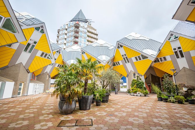 Discover Rotterdam’s most Photogenic Spots with a Local - Market Hall: the photogenic center of the walk