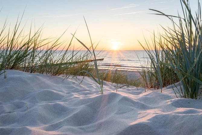 Drive it yourself electric Dune and Beach GPS audio tour - Vrijstaat Nederzandt: a coffee break with a beach club vibe