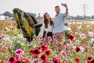 Drive it yourself electric Dune & Summer Flower GPS audio tour - De Tulperij: get close to the dahlia flower fields