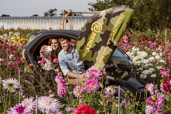 Drive it yourself electric Dune & Summer Flower GPS audio tour - The driving experience: scenic, short hops, and less stress than you expect