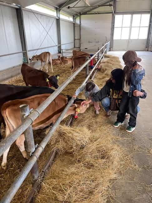 Dutch Countryside: , windmills, Villages, Cheese & Clogs - Volendam harbor: lunch, local snacks, and traditional Dutch attire photos
