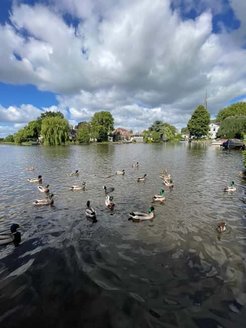 Dutch Countryside: , windmills, Villages, Cheese & Clogs - What to pack, and how to make the day smoother