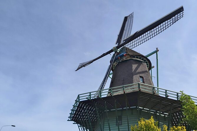 Dutch Windmills & Polder Walking Tour - Price and value: what $45.76 buys you in real time