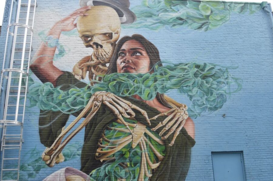 Eindhoven: Self-Guided Individual Street Art Tour - Languages: the audio guide and the translated web app
