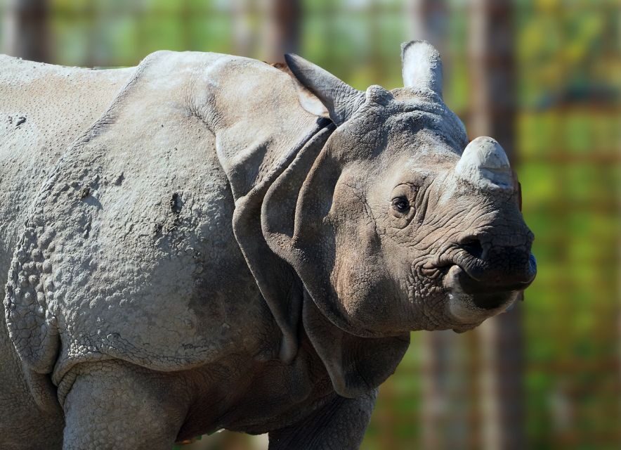 Eindhoven Zoo Entry Ticket - Eindhoven Zoo Entry Tickets: What $28 Really Buys You