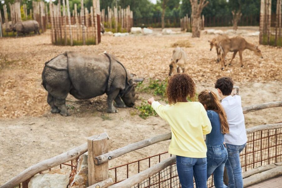 Eindhoven Zoo Entry Ticket - Your Day Starts at the Main Entrance: Then Go With the Flow