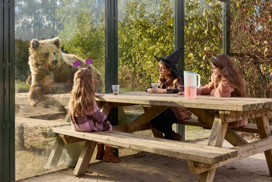 Eindhoven Zoo Entry Ticket - A Practical Packing List That Fits a Zoo Day