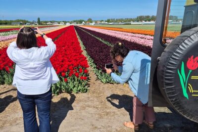 Enjoy the Tulips in a Landrover with a local guide - Sint Agathakerk: the Cathedral of the Bulbregion