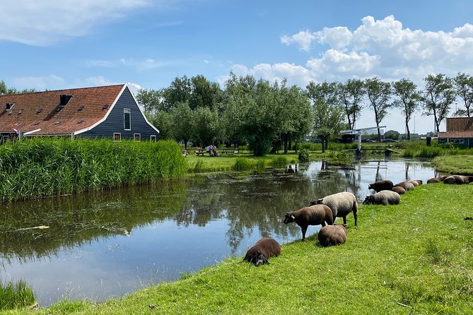 Escape Amsterdam: E-Bike to Zaanse Schans Windmills & Zaandam - Krijtmolen d’Admiraal: A working windmill stop you can actually picture