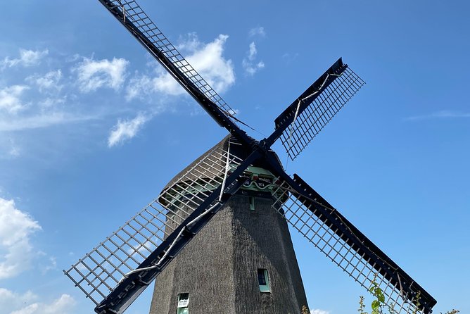 Escape Amsterdam: E-Bike to Zaanse Schans Windmills & Zaandam - Price and value: What you get for about $108.84