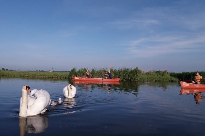 Fresh nose tour with the canoe through the nature near Amsterdam - The onboard drink break: a pause that actually changes the mood