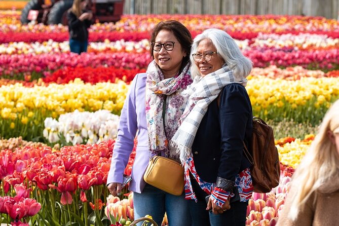 From Amsterdam: Keukenhof and Tulip Experience Tour - Dutch spring in one 6½-hour run: what this day trip really delivers