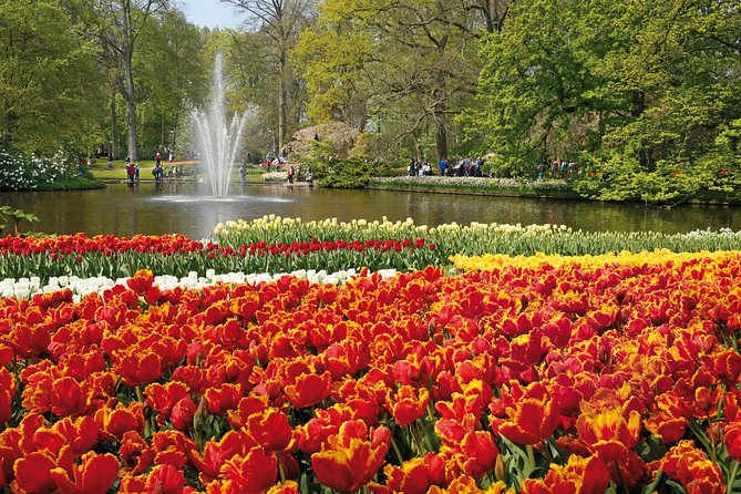 From Amsterdam: Keukenhof Gardens Ticket and Transfer - Timing, crowds, and how to avoid return-day confusion