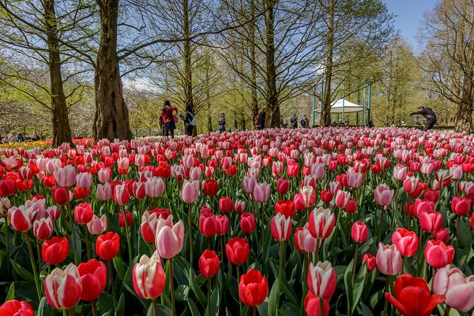 From Amsterdam: Keukenhof Gardens Ticket and Transfer - Should you book this Amsterdam-to-Keukenhof package?