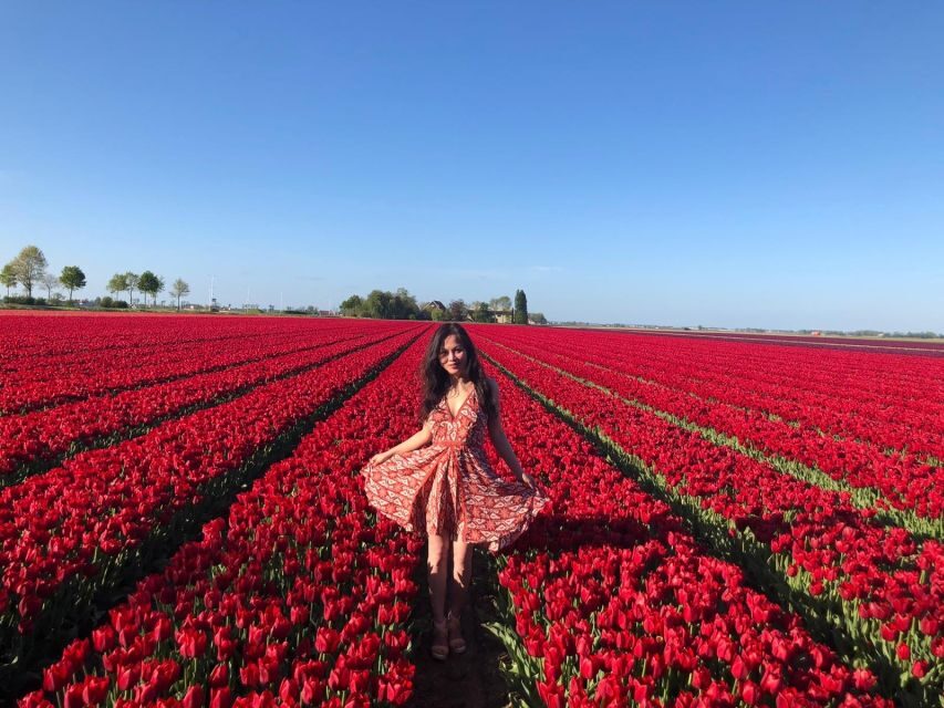 From Amsterdam: Small Group Keukenhof & City Tour Delft - Price and Value: What You’re Really Paying For