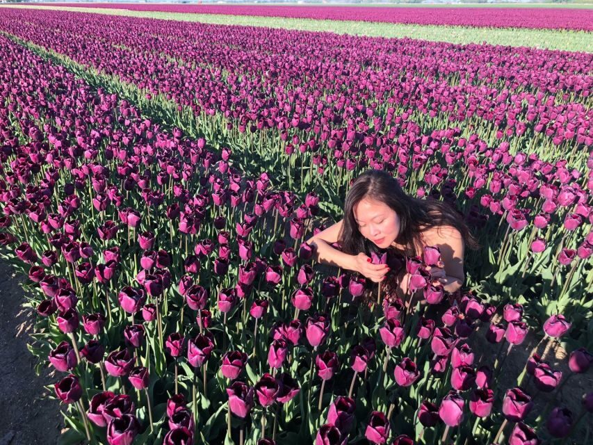 From Amsterdam: Small Group Keukenhof & City Tour Delft - The Ride to Delft: From Flower Park to Canal City