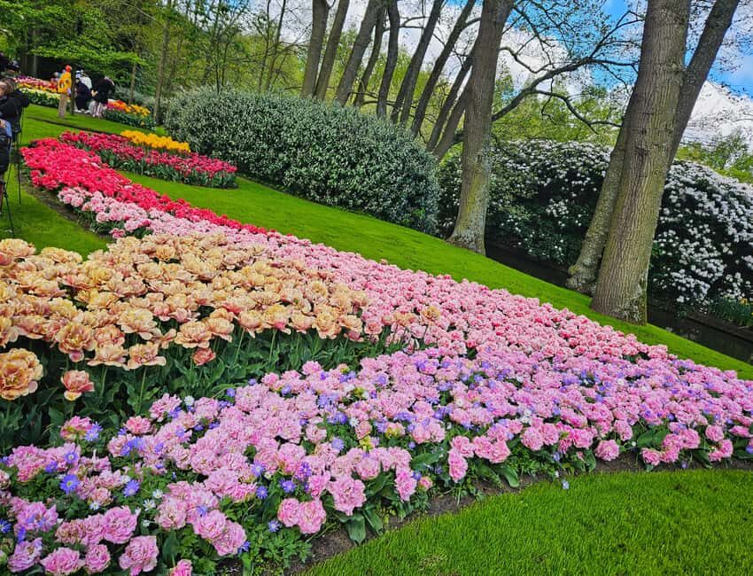 From Amsterdam: Small Group Keukenhof & City Tour Delft - Royal Delft Timing: Don’t Assume the Same as the Workshop