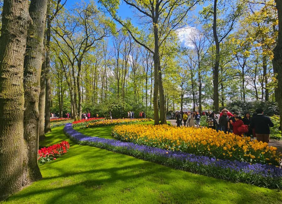 From Amsterdam: Small Group Keukenhof & City Tour Delft - Group Pace and Comfort: How to Make the Day Feel Easy
