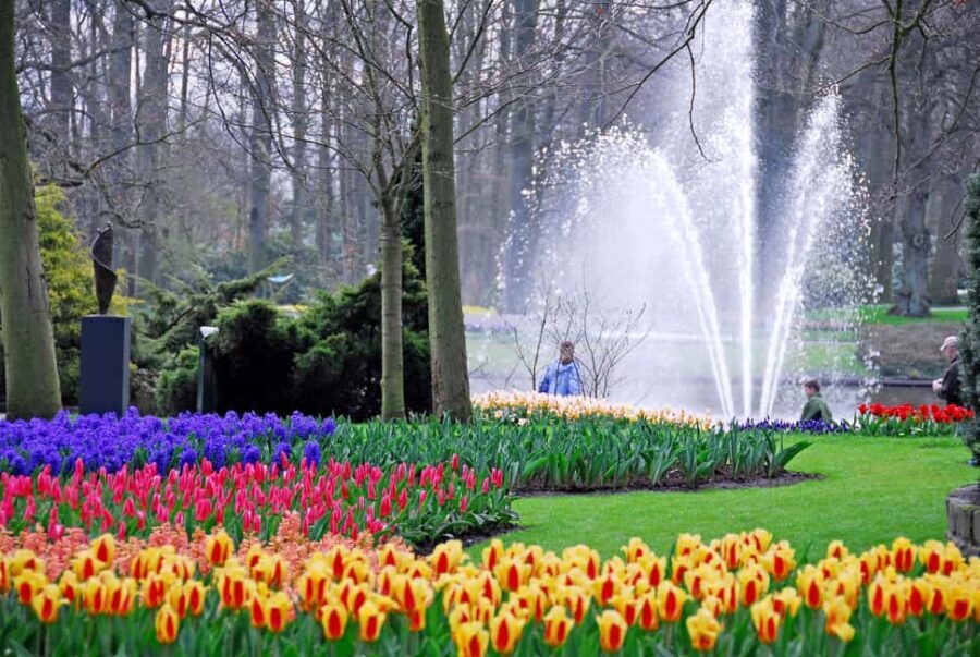 From Brussels: Keukenhof & Windmills Full-Day Guided Tour - From Brussels to Holland’s spring icons