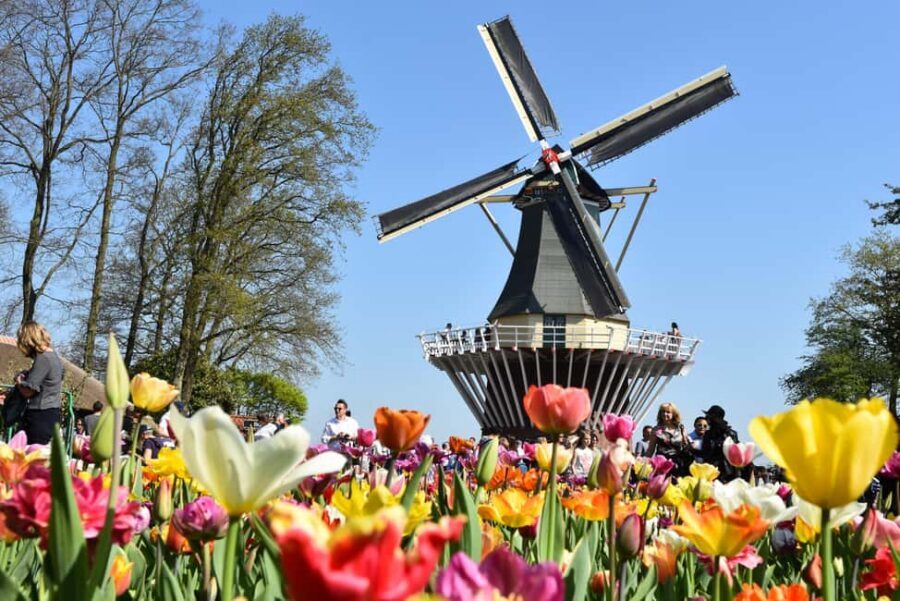 From Brussels: Keukenhof & Windmills Full-Day Guided Tour - Language and guide energy: you’ll feel the difference