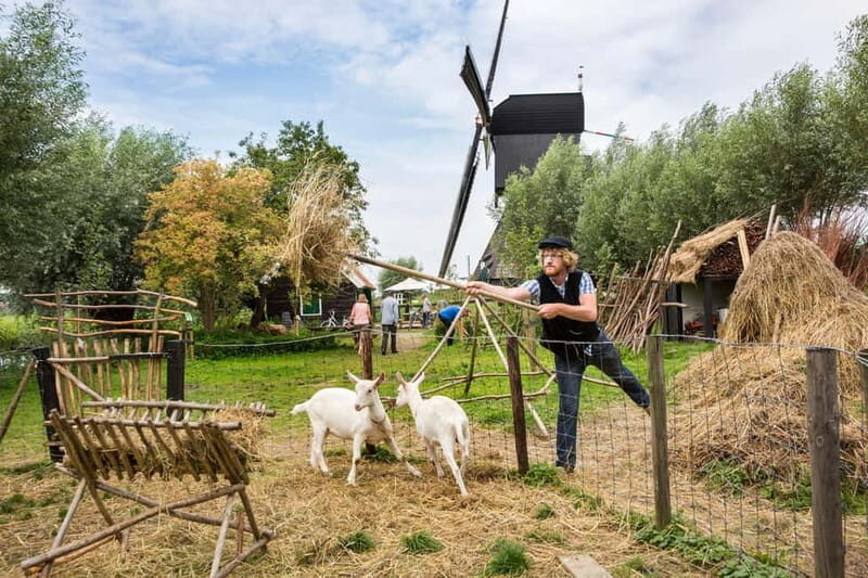 From Brussels: Keukenhof & Windmills Full-Day Guided Tour - Planning tips that make the day smoother