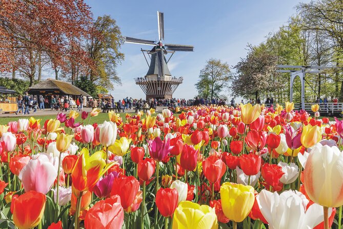 Full-Day Skip the Line Keukenhof and Canal Cruise from Amsterdam - Key things I’d plan around before you go
