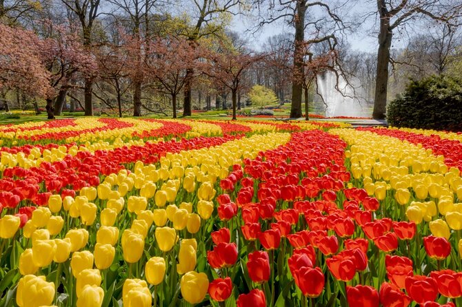 Full-Day Skip the Line Keukenhof and Canal Cruise from Amsterdam - Price and Value: What You’re Really Paying For