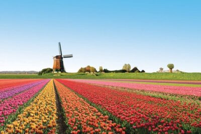 Full-Day Skip the Line Keukenhof and Canal Cruise from Amsterdam - Keukenhof Gardens: Seven Million Bulbs and Realistic Expectations