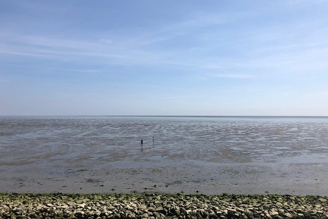 Full day tour to Texel - Friesian Islands - from Amsterdam - Included perks and what you’ll likely spend extra on