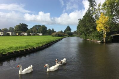 Giethoorn and Zaanse Schans Day Tour Small Group Incl. Boat Ride - The morning plan: pickup in Amsterdam and the 8:00am start