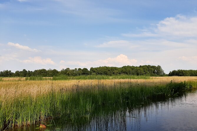 Giethoorn Private 1 or 2 Hour VIP Boat Tour - Giethoorn by private boat: what the VIP hour is really like