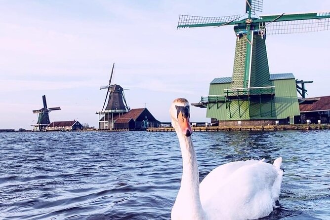Giethoorn, Private Boat Tour & Zaanse Schans Windmills - Back on land: a short walking tour plus time to explore