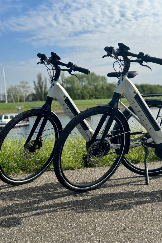 Goes: Full-Day E-Bike Rental - Veerse Meer: When the Ride Turns Scenic and Breezy