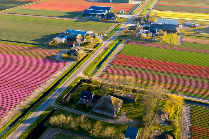 Guided Bike Tour along the Dutch Tulip Fields in Noord Holland - Key Things to Know Before You Cycle the Tulip Fields
