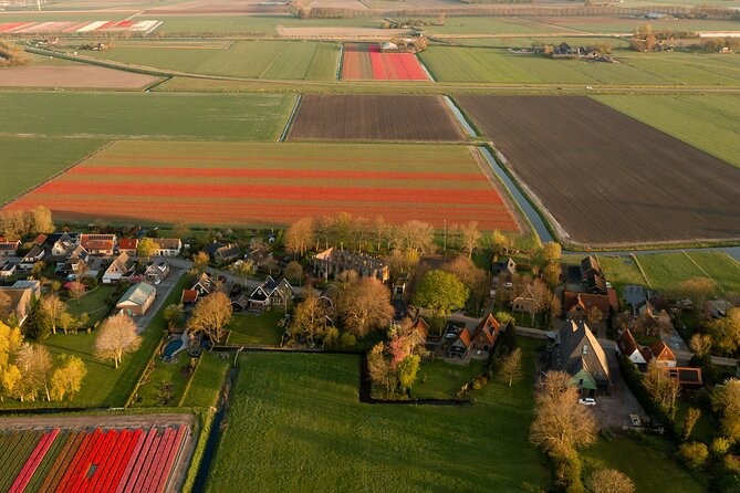Guided Bike Tour along the Dutch Tulip Fields in Noord Holland - Why Noord Holland Tulip Fields Look Different From a Bike Seat
