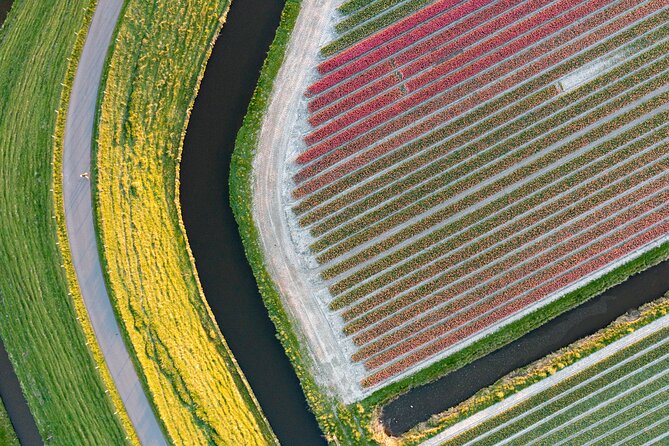 Guided Bike Tour along the Dutch Tulip Fields in Noord Holland - Manon’s Role: Local Knowledge That Helps You See More