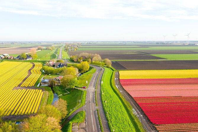 Guided Bike Tour along the Dutch Tulip Fields in Noord Holland - The Ride: 25–30 km of Wind, Farms, Windmills, and Village Streets